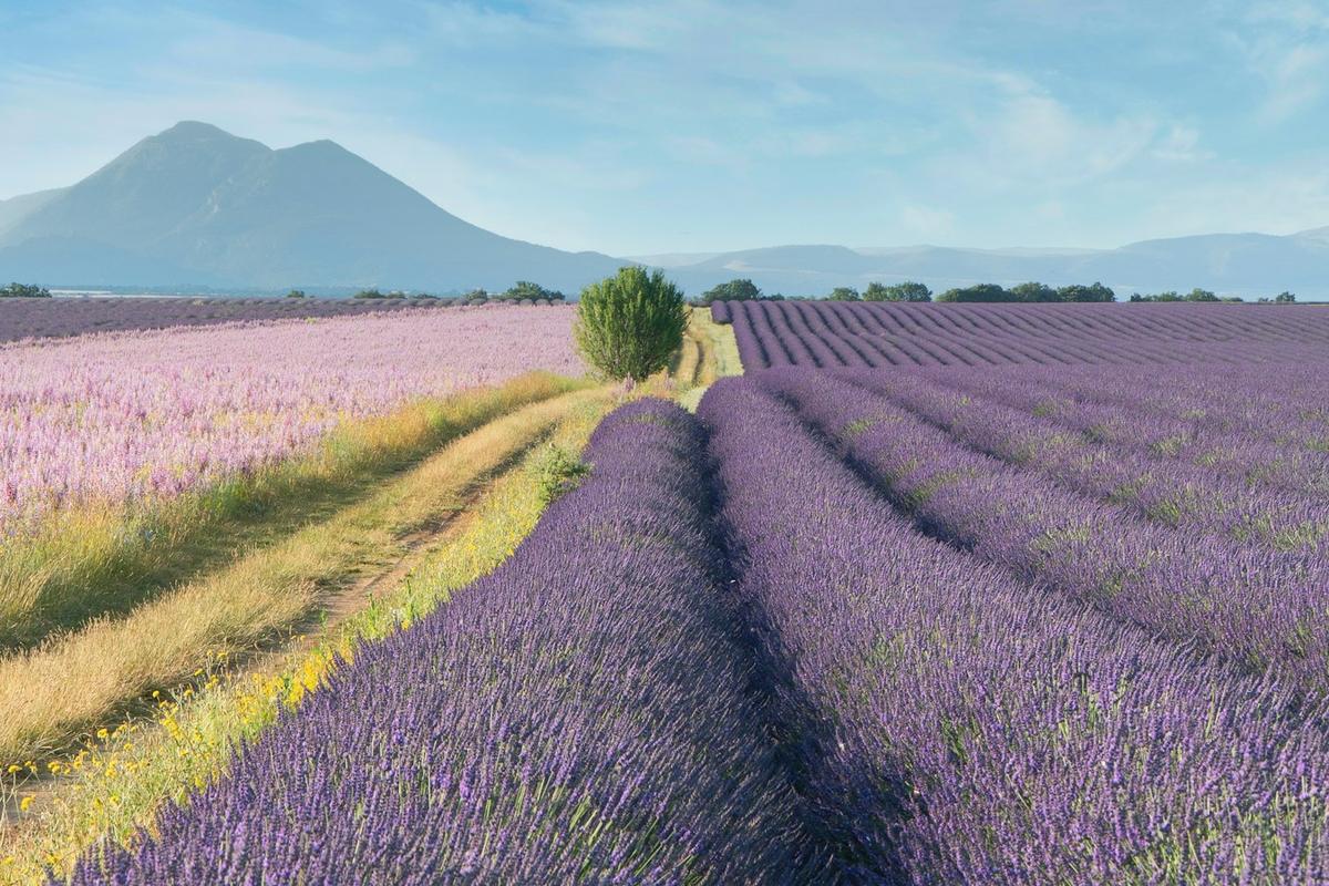 Provence