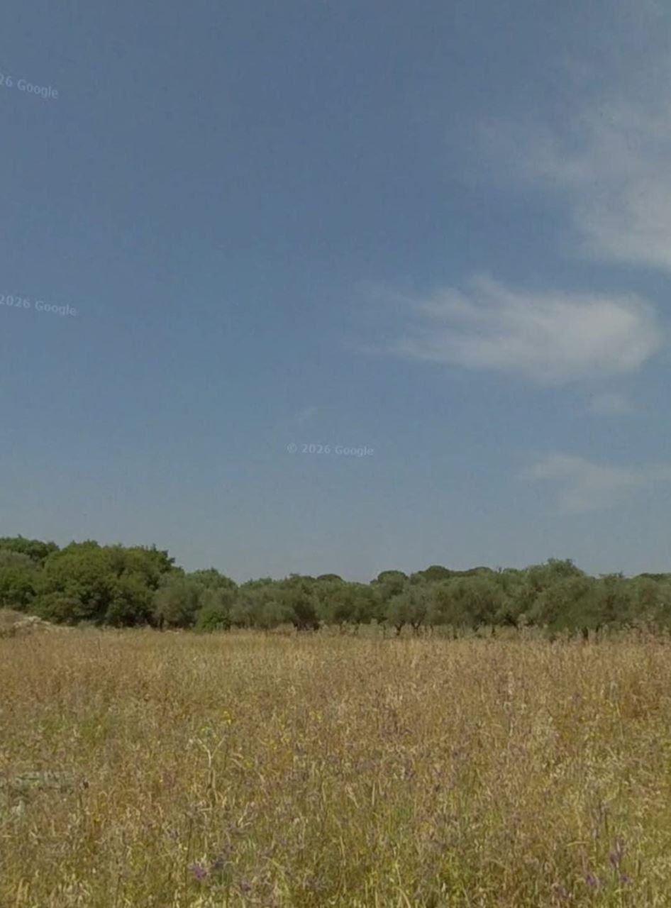 Land with a mountain view for sale in Bterram, Koura