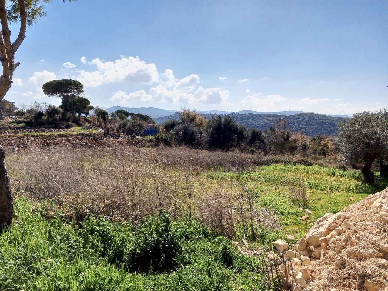 Land for sale in Batroun