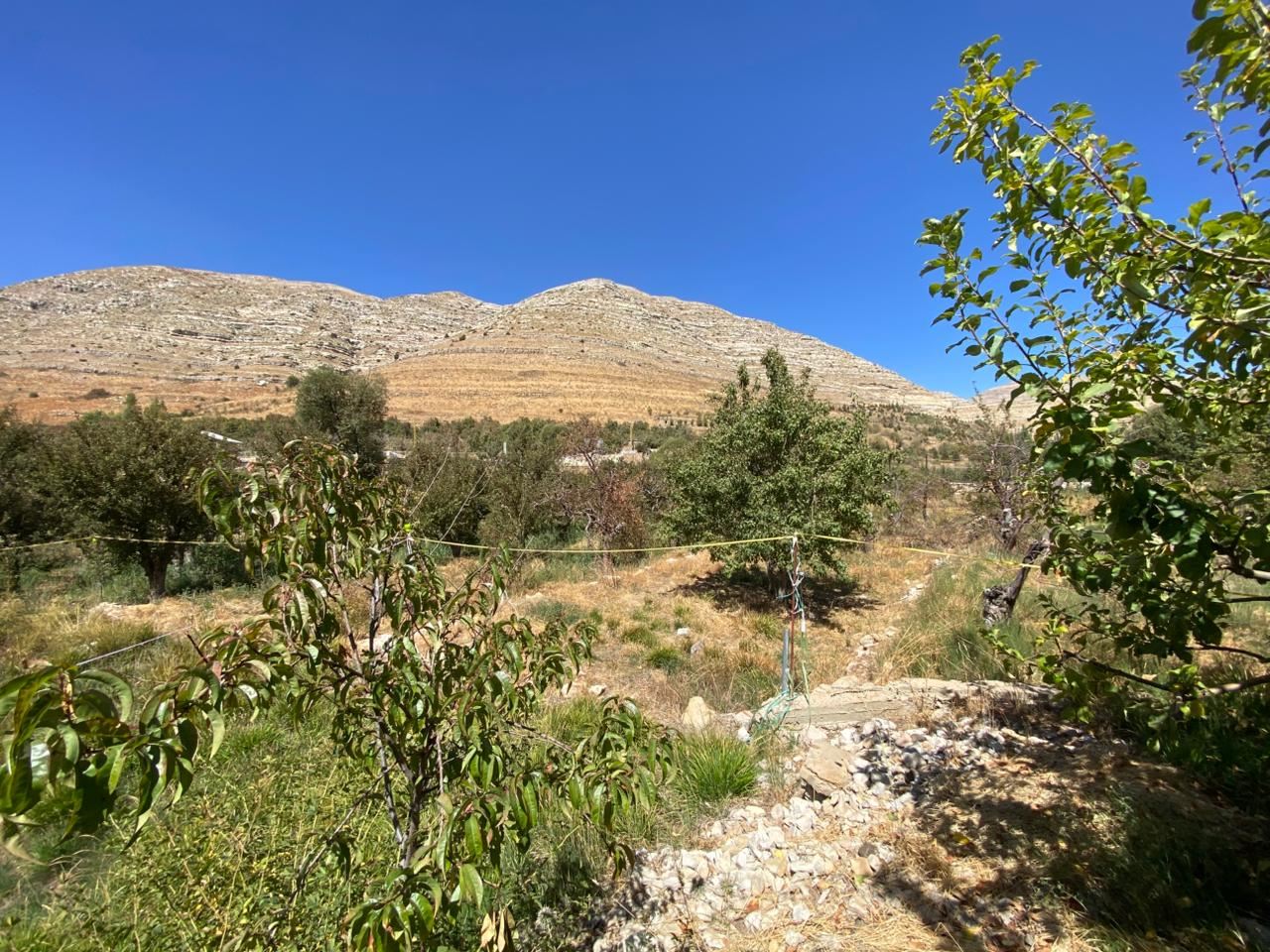 Land with a mountain view for sale in Faraya, Keserwan