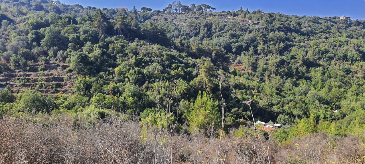 Land for sale in Debbieh, Chouf