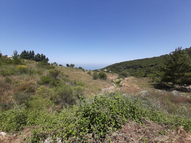 Sea-view land for sale in Ainab, Aley - photo 3