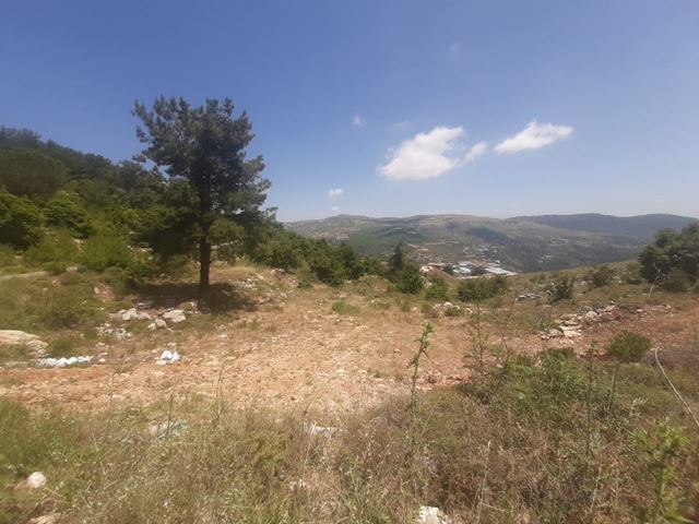 Land with a mountain view for sale in Aley