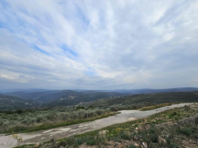 Land with a mountain view for sale in Batroun