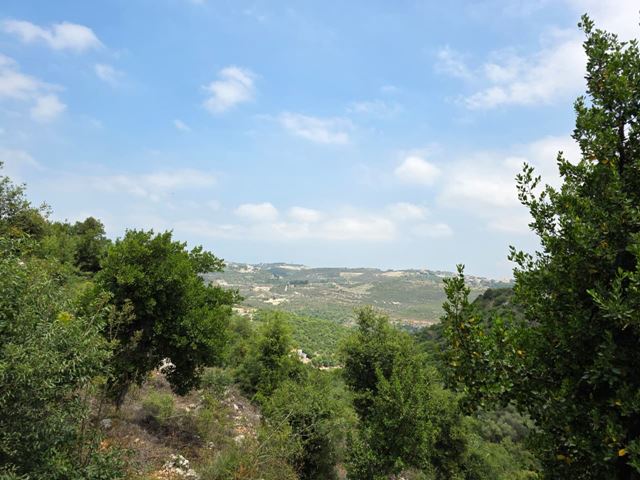 Land with a mountain view for sale in Batroun