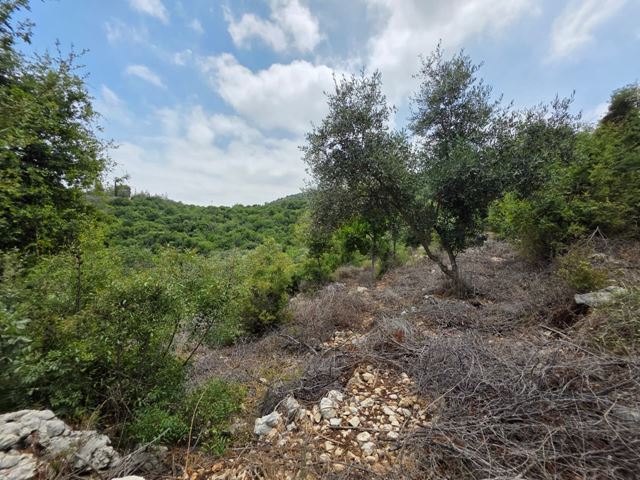 Land with a mountain view for sale in Batroun - photo 3
