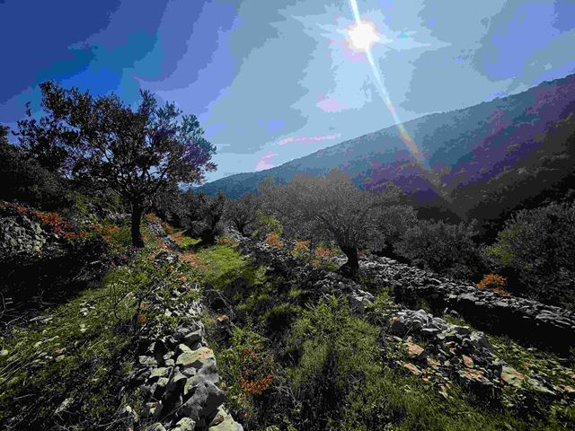 Land with a mountain view for sale in Chebtine, Batroun