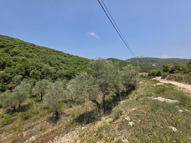 Land with a mountain view for sale in Batroun - photo 2