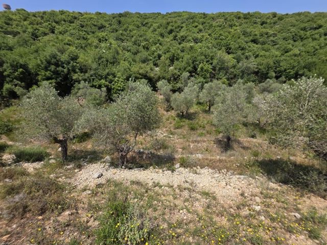 Land with a mountain view for sale in Batroun - photo 3