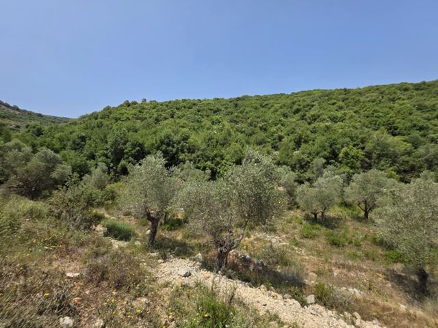Land with a mountain view for sale in Batroun