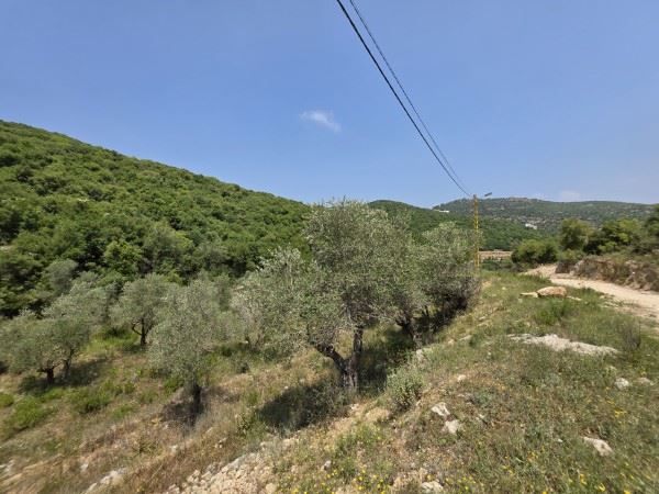 Land with a mountain view for sale in Batroun
