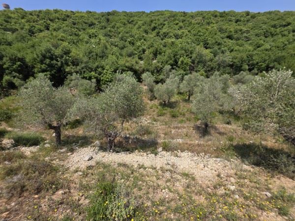أرض بإطلالة على الجبل للبيع في بترون - صورة 3