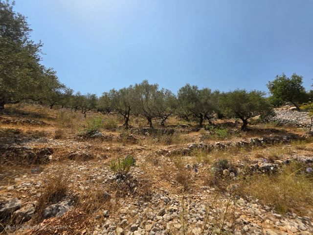 أرض بإطلالة على الجبل للبيع في جبيل - صورة 2