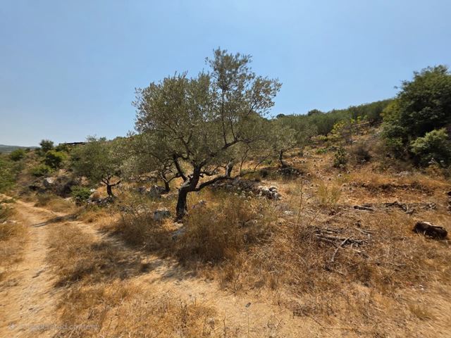 أرض بإطلالة على الجبل للبيع في جبيل - صورة 3