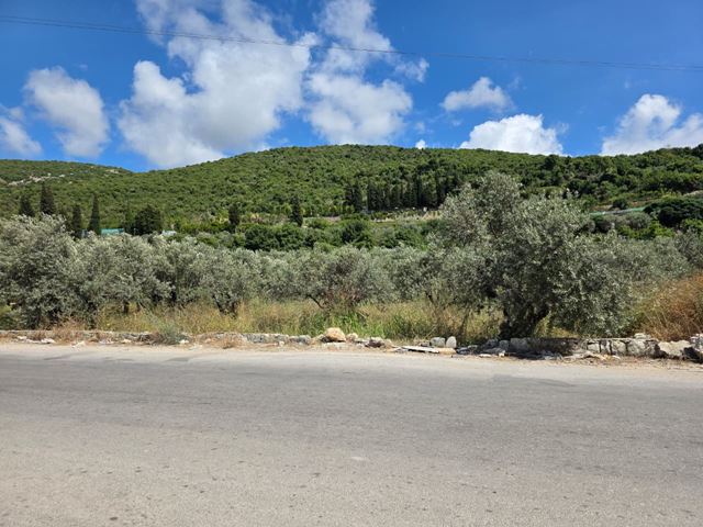 Land for sale in Batroun - photo 2