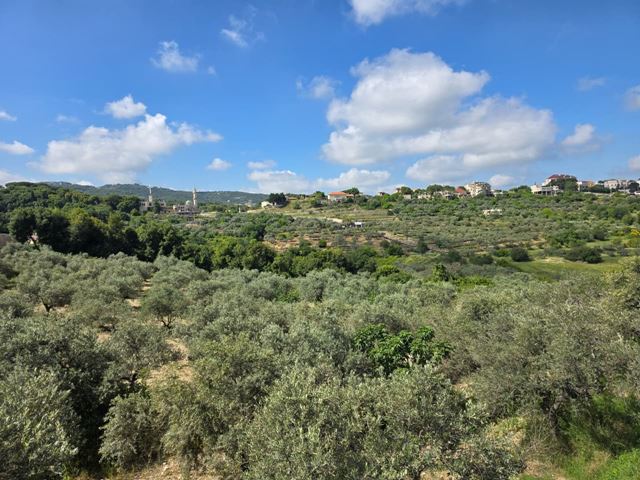 Land with a mountain view for sale in Kfifan (Batroun), Batroun - photo 2