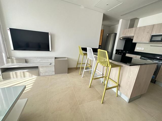Furnished apartment for rent in Dbaye, Metn - photo 3