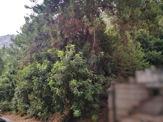 أرض بإطلالة على البحر للبيع في فتره، جبيل - صورة 2