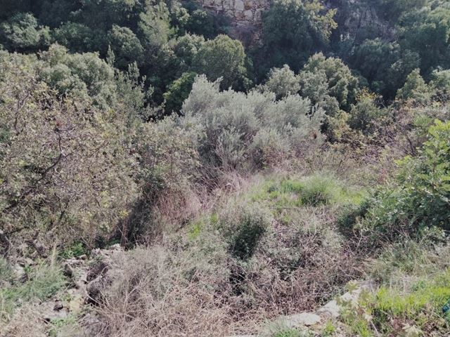 Land for sale in Jeita, Keserwan - photo 2