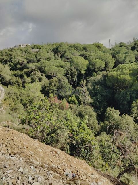 Land for sale in Jeita, Keserwan - photo 3