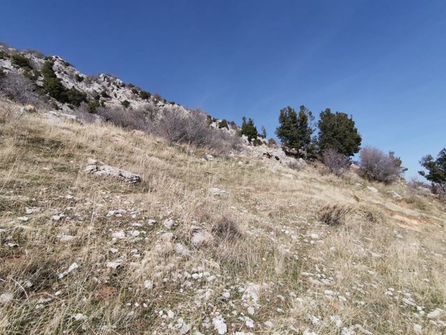 Land with a mountain view for sale in Laklouk, Jbeil - photo 3