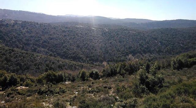 Land with a mountain view for sale in Mechmech, Jbeil - photo 3