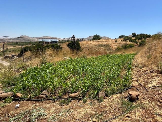 Land with a mountain view for sale in Laklouk, Jbeil