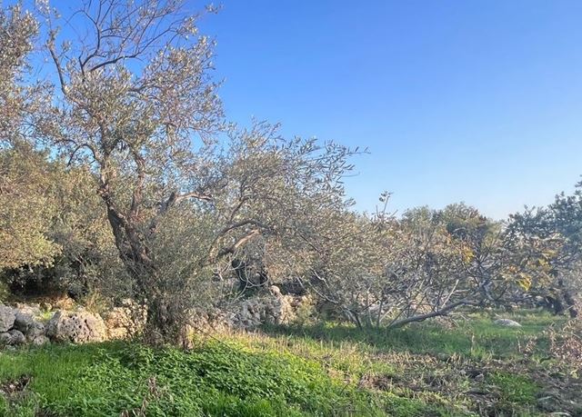 أرض بإطلالة على البحر للبيع في منصف، جبيل - صورة 2