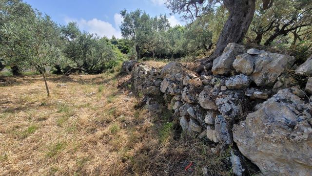 Sea-view land for sale in Berbara, Jbeil - photo 2