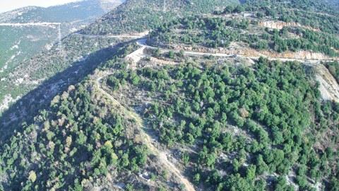 Land for sale in Haqel, Jbeil - photo 3