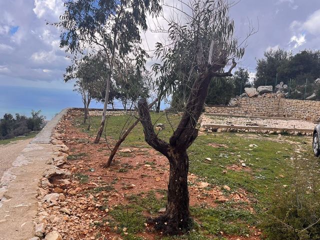 Sea-view land for sale in Ras osta, Jbeil - photo 3