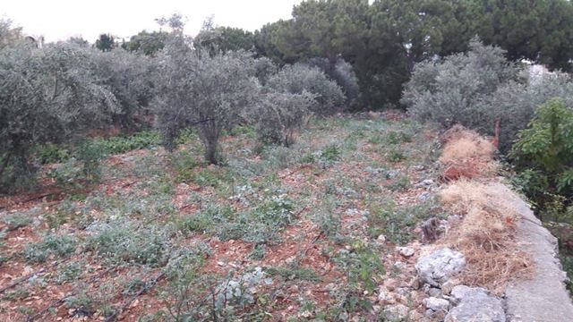 Sea-view land for sale in Aamchit, Jbeil - photo 2