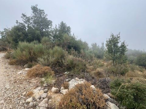 Land with a mountain view for sale in Mechmech, Jbeil - photo 3
