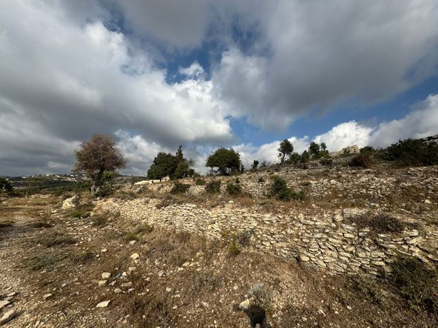 Land for sale in Safra, Keserwan - photo 2