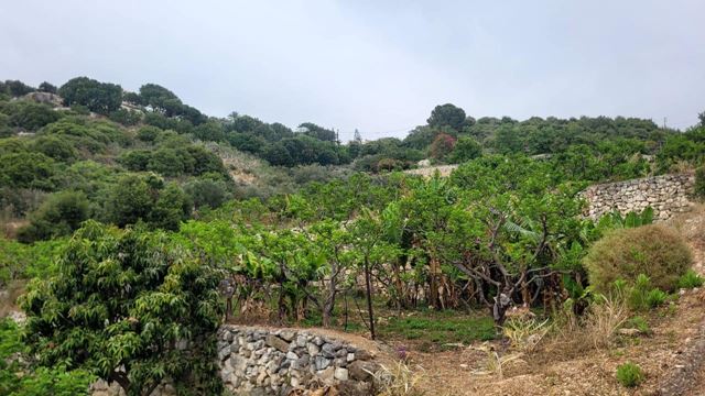 Sea-view land for sale in Berbara, Jbeil - photo 2
