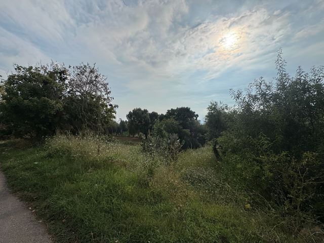 Sea-view land for sale in Blat, Jbeil