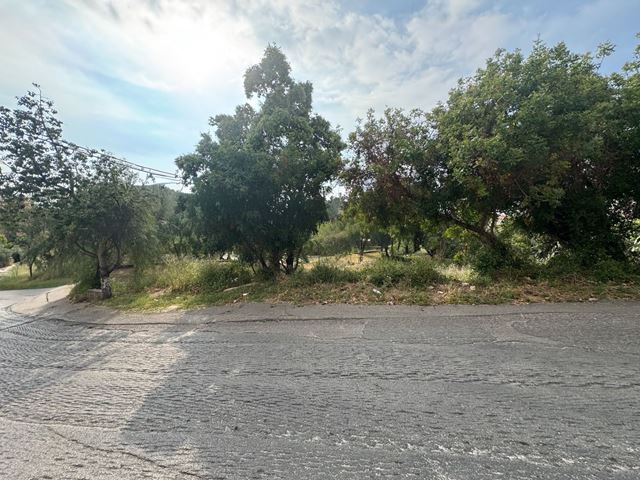 Sea-view land for sale in Blat, Jbeil - photo 3