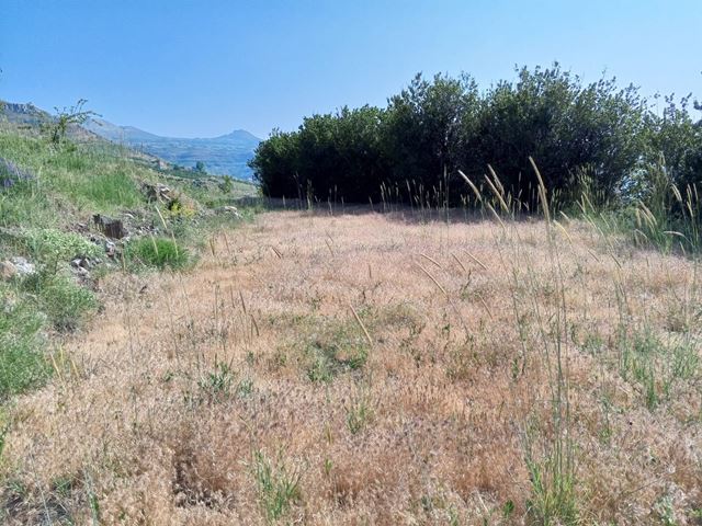 Land with a mountain view for sale in Tannourine, Batroun