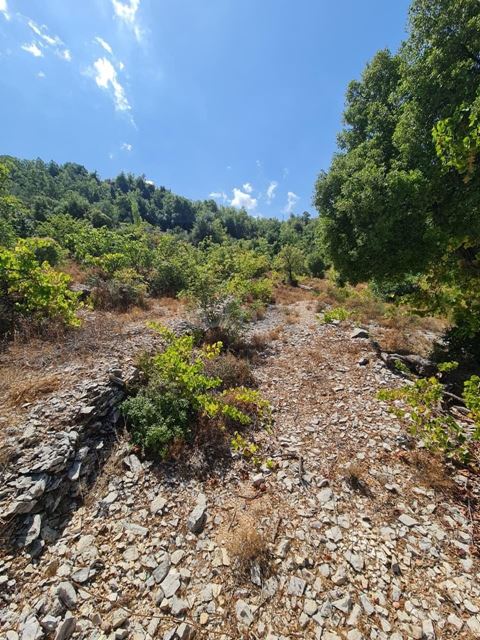 Land with a mountain view for sale in Lehfed, Jbeil - photo 3