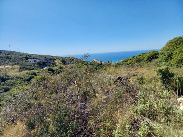 Land for sale in Batroun - photo 3