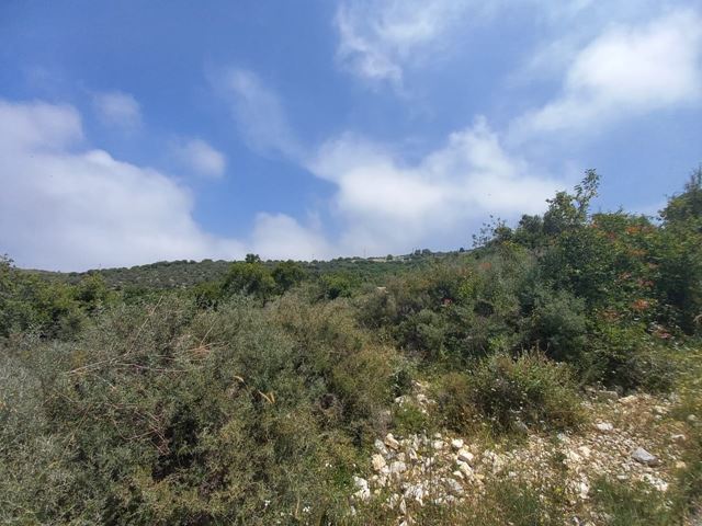 Sea-view land for sale in Bekhaaz, Jbeil - photo 2