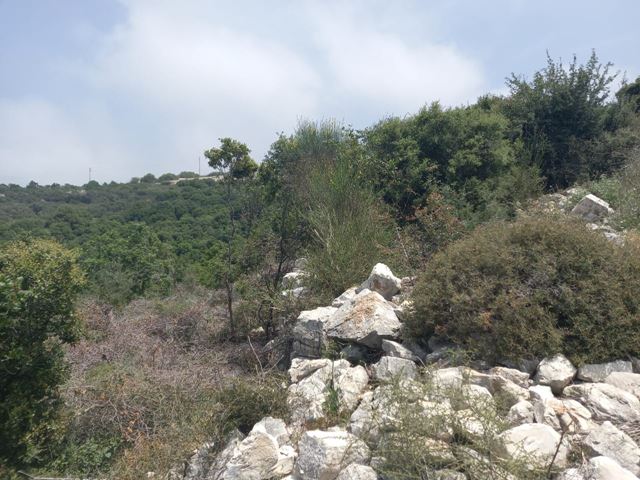 Sea-view land for sale in Bekhaaz, Jbeil - photo 2