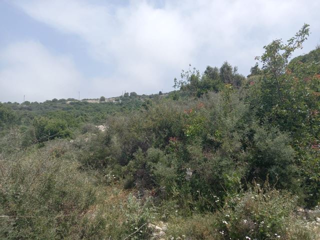 Sea-view land for sale in Bekhaaz, Jbeil - photo 3