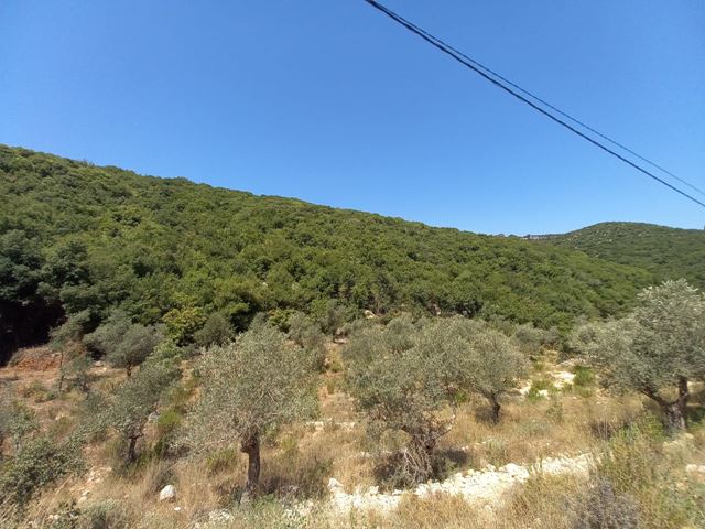Land with a mountain view for sale in Batroun