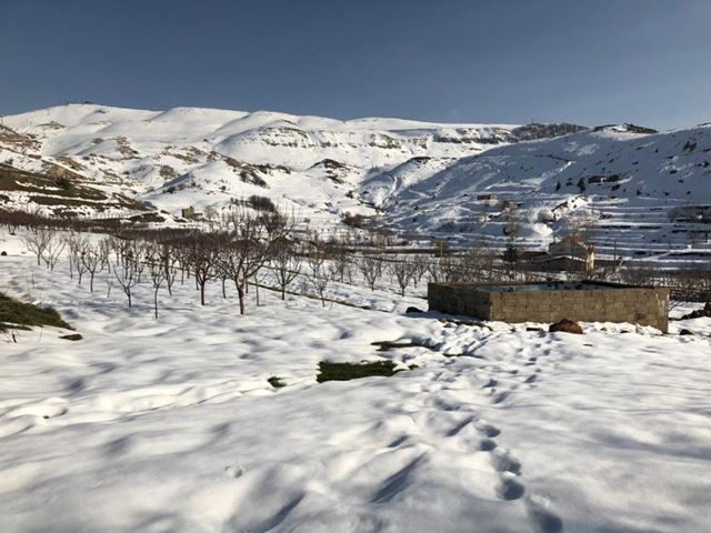 Land with a mountain view for sale in Zaarour, Metn