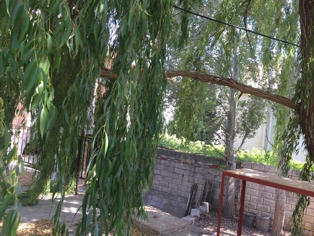 House with a garden for sale in Metn - photo 2