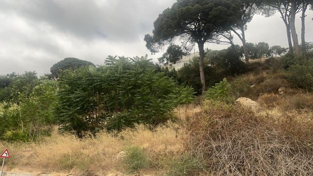 Land with a mountain view for sale in Bsous, Aley