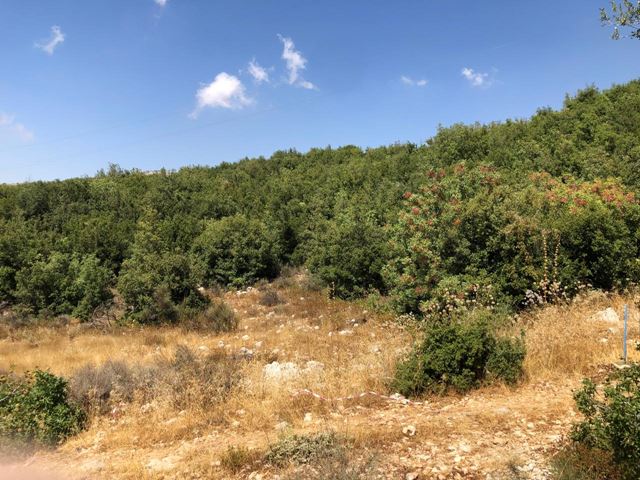 أرض بإطلالة على الجبل للبيع في ترشيش، بعبدا - صورة 2