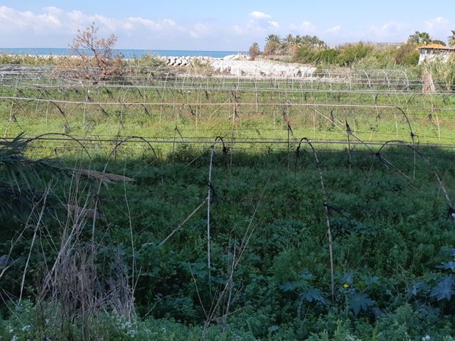 Land for rent in Kaslik, Keserwan