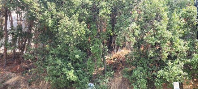 Sea-view land for sale in Rabieh, Metn